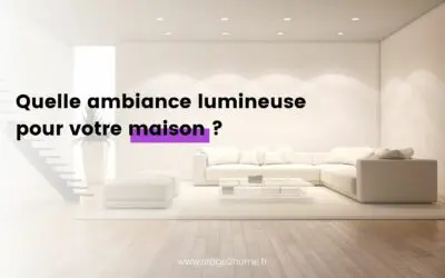 Quelle ambiance lumineuse pour votre maison ?